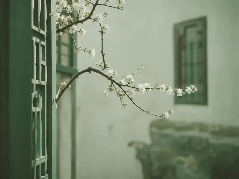 古风题材短剧合集封面
