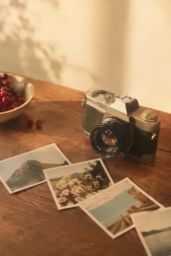 短剧《拾光而遇的你》封面